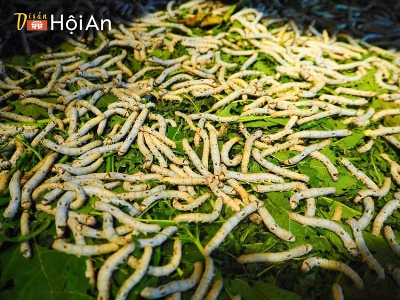làng lụa Hội An