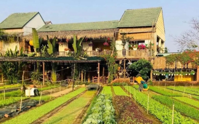 Phố cổ hội an thuộc thành phố nào