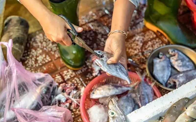 Chợ Cá Thanh Hà Hội An