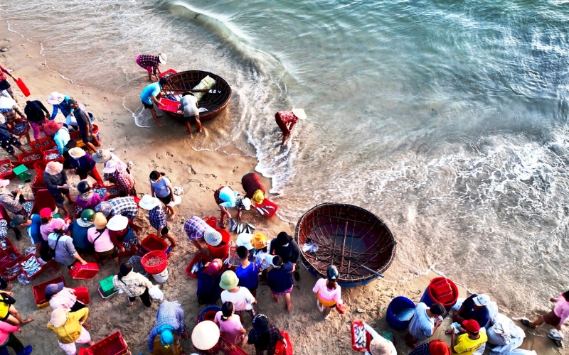 Chợ Cá Thanh Hà Hội An