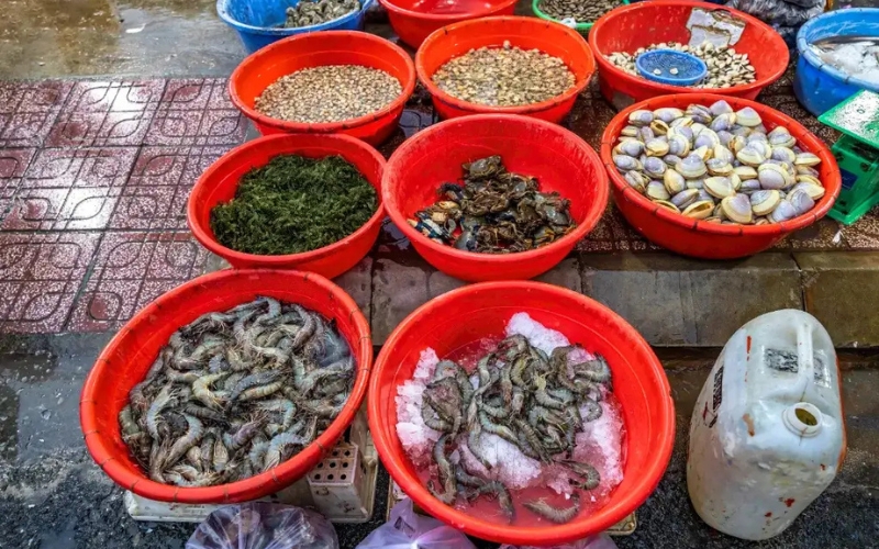 Chợ Cá Thanh Hà Hội An