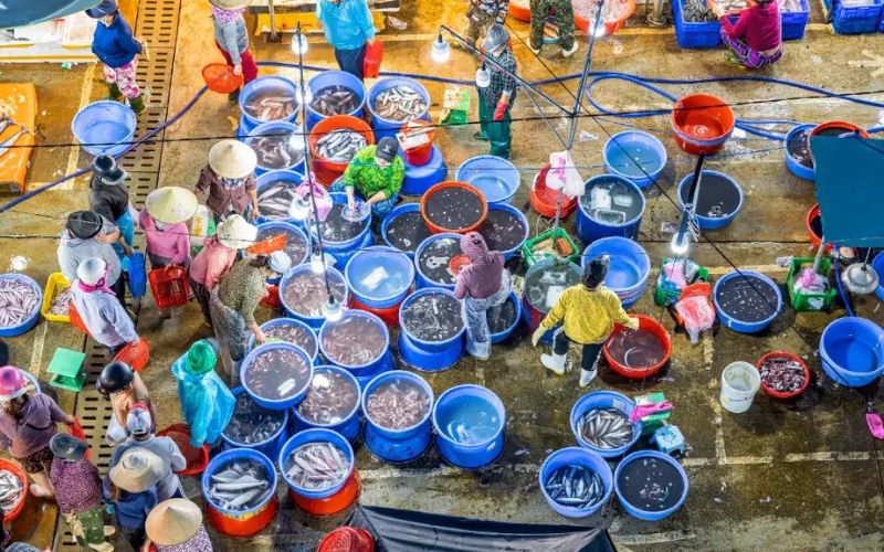 Chợ Cá Thanh Hà Hội An