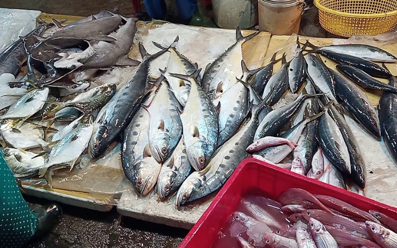 Chợ Cá Thanh Hà Hội An