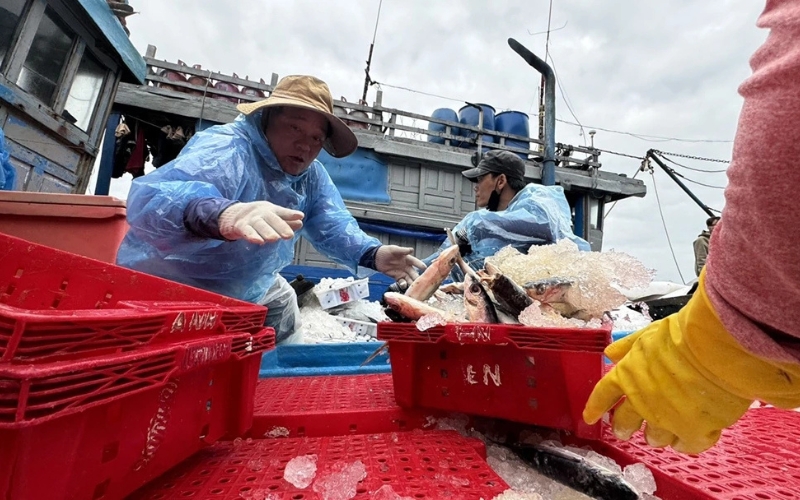 Chợ Cá Thanh Hà Hội An