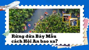 Rừng dừa Bảy Mẫu cách Hội An bao xa