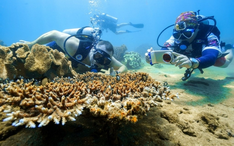 cảng du lịch sông Hội