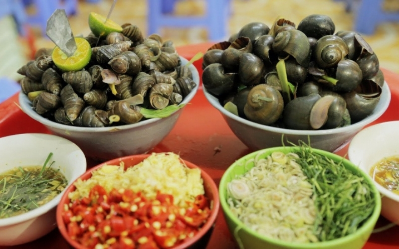 quán Cafe vườn đẹp ở Hội An