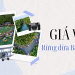 Giá vé Rừng Dừa Bảy Mẫu